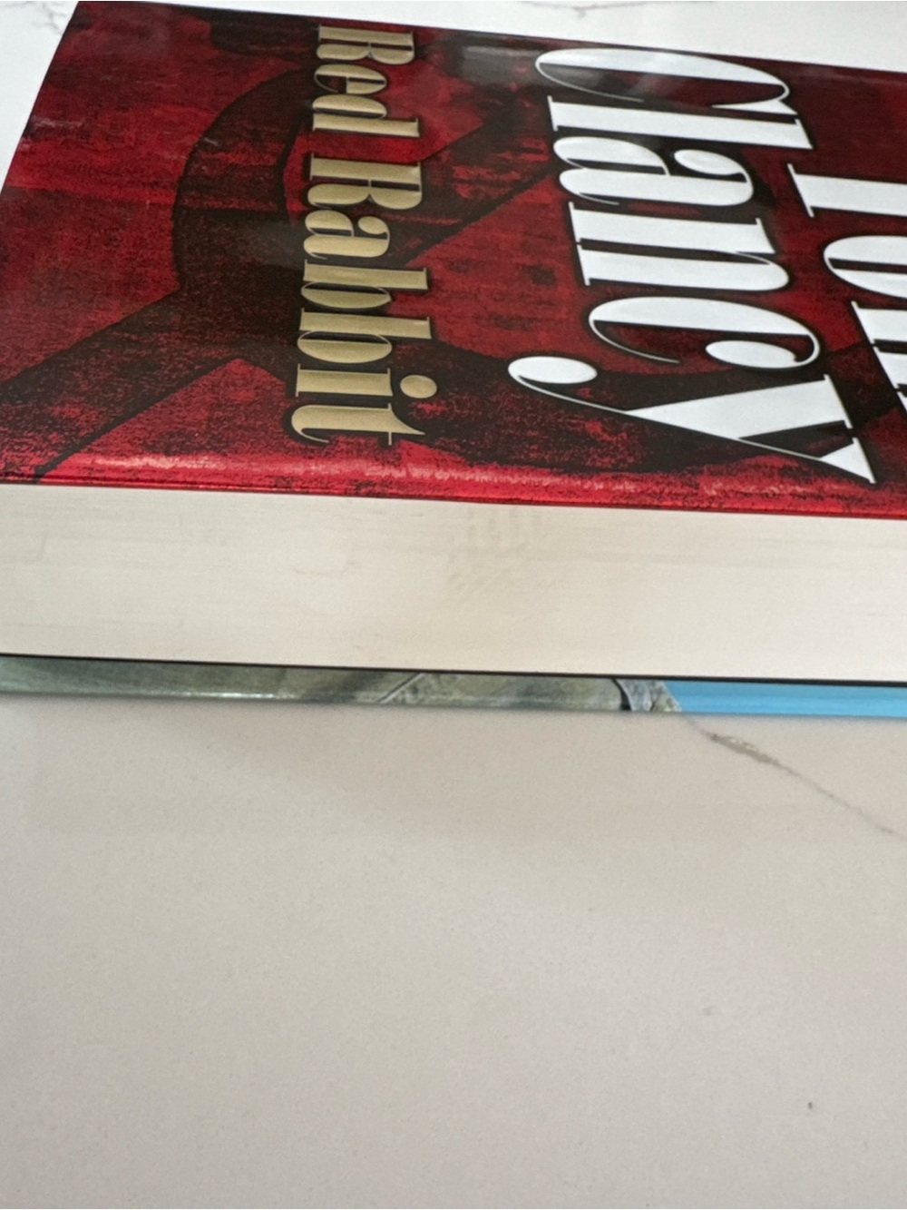 Red Rabbit Hardcover Book - Red - Picture 5 of 6